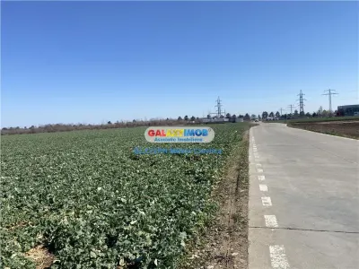 Vanzare teren industrial Paulesti Prahova gata de construit - foto 5