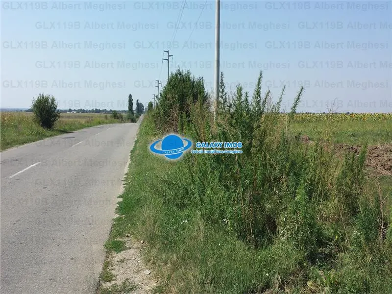 Vanzare Teren Intravilan  Herasti Giurgiu 2 HA - foto 2