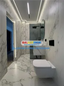 Inchiriere  casa superba Tunari - foto 19
