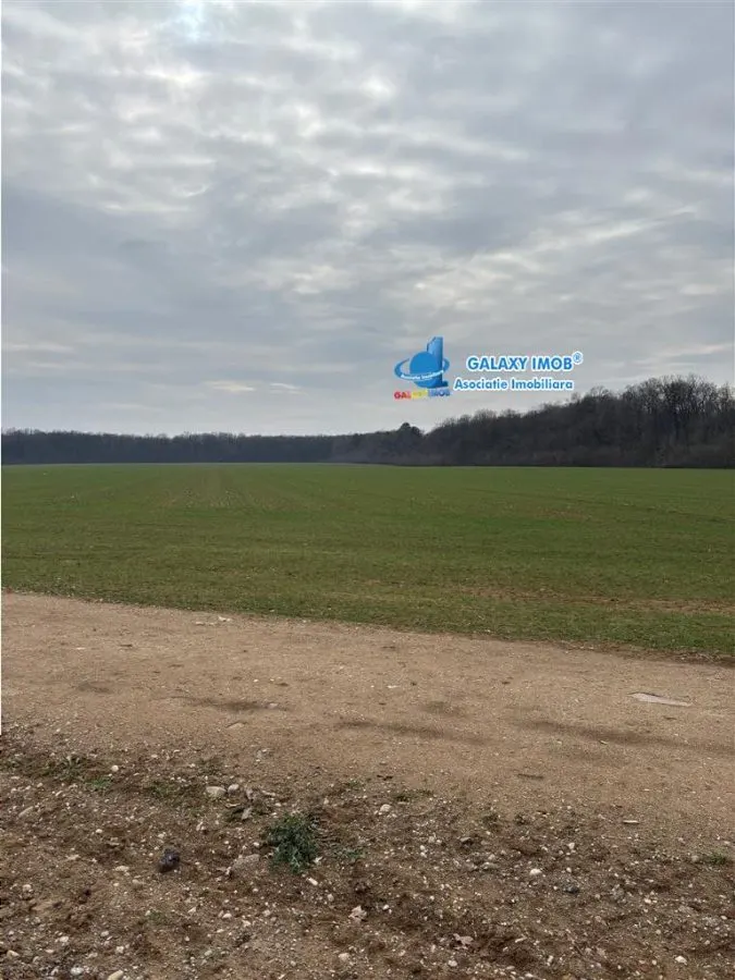 Peris - Burias, 16500mp, intravilan, la padure - foto 5