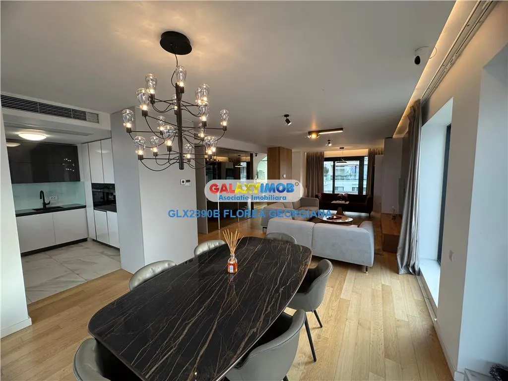 VANZARE DUPLEX ONE HERASTRAU PLAZA - foto 1