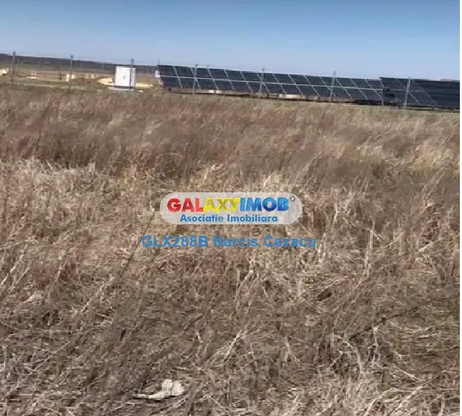 Tartasesti Dambovita vanzare teren 34366 mp - foto 7
