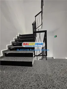 Vanzare apartament Premium cu 2 camere cu iesire spre calea Rahova - foto 18