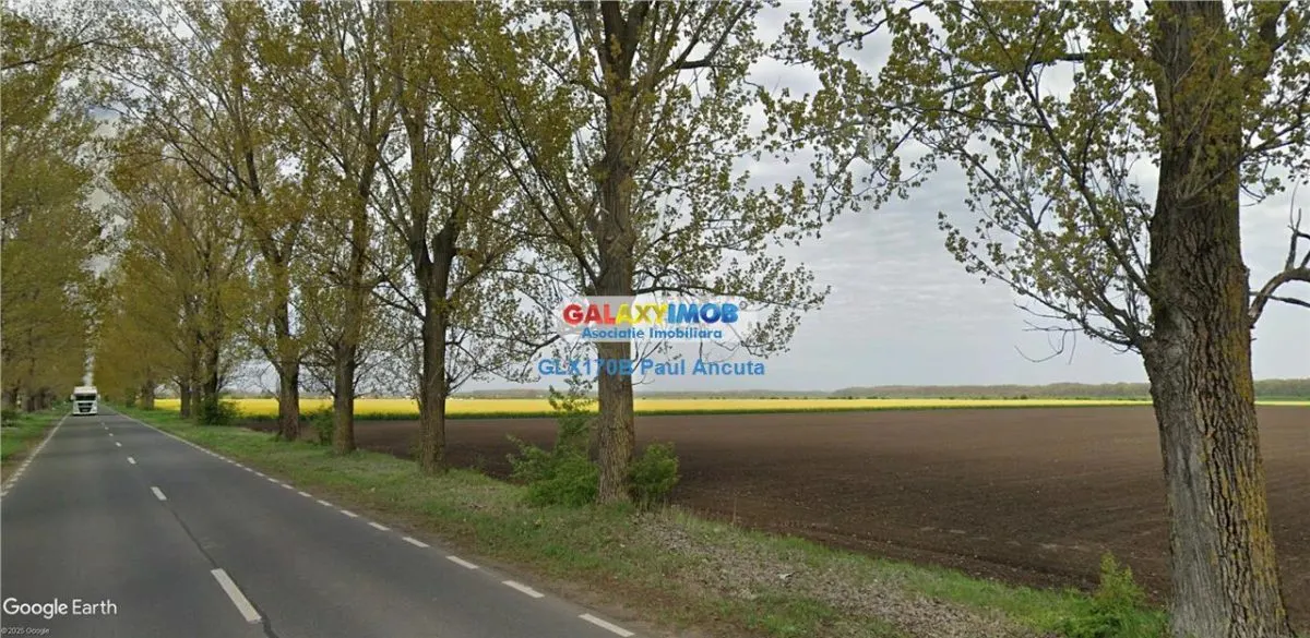 Teren  la Drumul Judetean Dascalu Gagu 17800 mp intravilan - foto 1