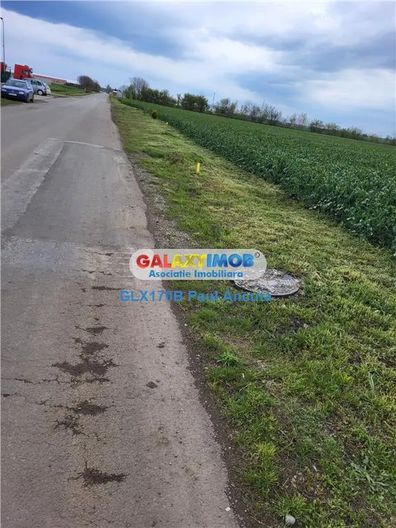 Teren Moara Vlasiei 65000 mp Industrial utilitati apropiere Nod A3 - foto 1