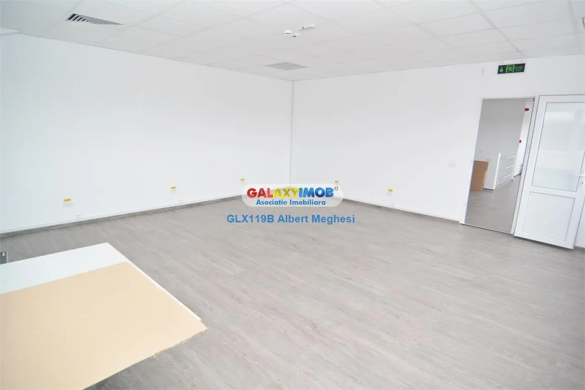Vanzare Hala 1295 mp+teren 3300 mp Drumul Intre Tarlale/Oxigenului - foto 12