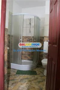 VANZARE COMPLEX LA CHEIE - CASA PRAHOVEANA - BOLDESTI-SCAENI, PRAHOVA - foto 20