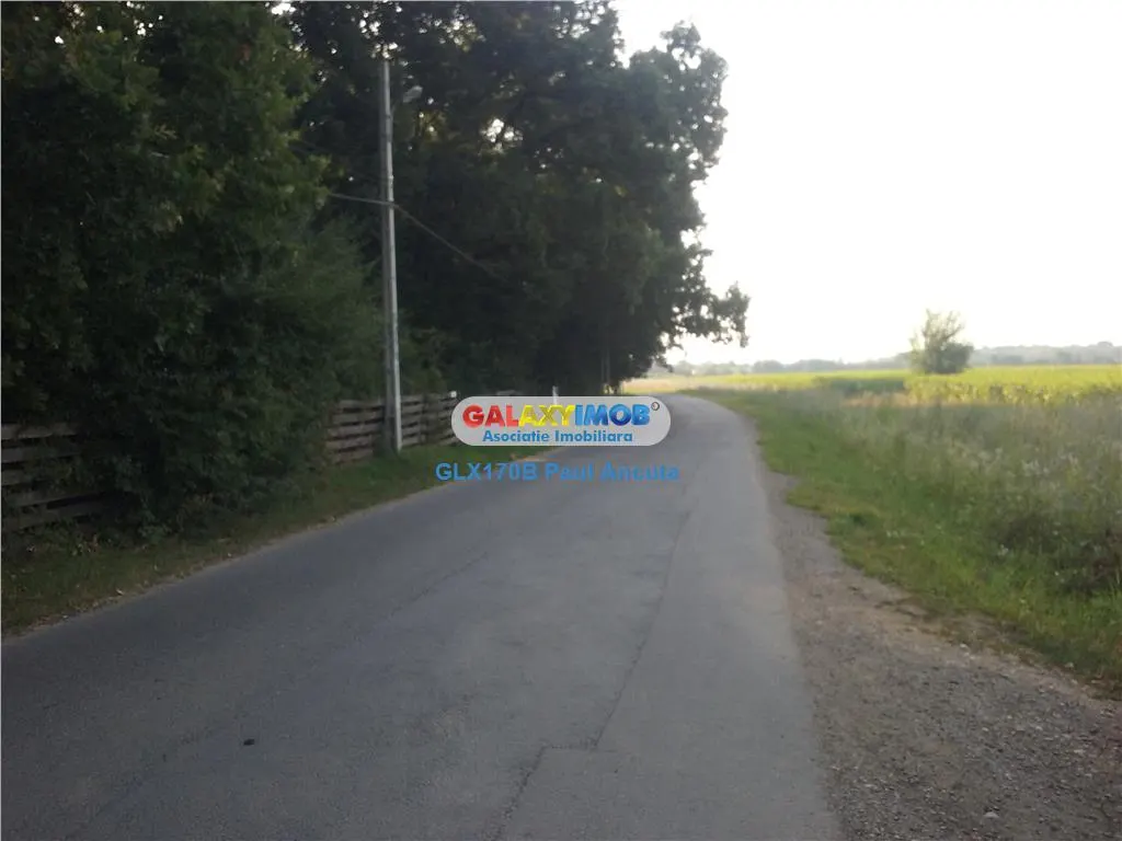 Teren Impadurit 1 Ha Corbeanca aviz defrisare pnt 2 case - foto 1