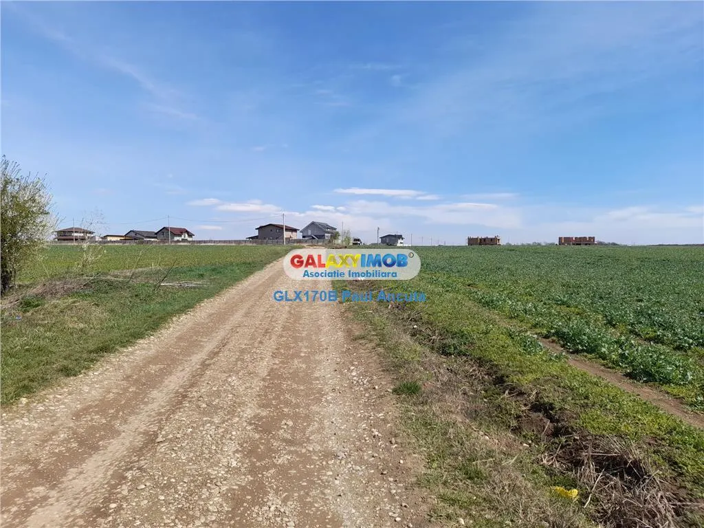 Teren Lac Balotesti 5000 mp intravilan utilitati str Lacului. - foto 1