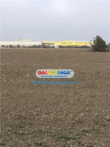 Vanzare teren industrial 10000mp Chitila Rudeni Padurii - foto 2