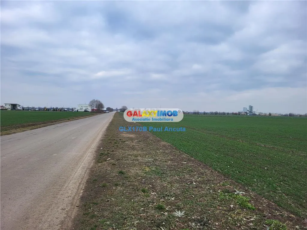 Teren Moara Vlasiei 40000 mp str Drumul Teilor Industrial utilitati - foto 1
