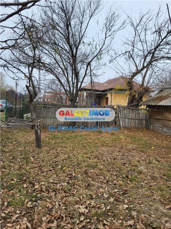 Teren intravilan 4770 mp cu casa in Lintesti , Arges - foto 1