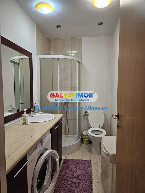 Vanzare casa P + M  5 camere Valea Voievozilor  Razvad - foto 10