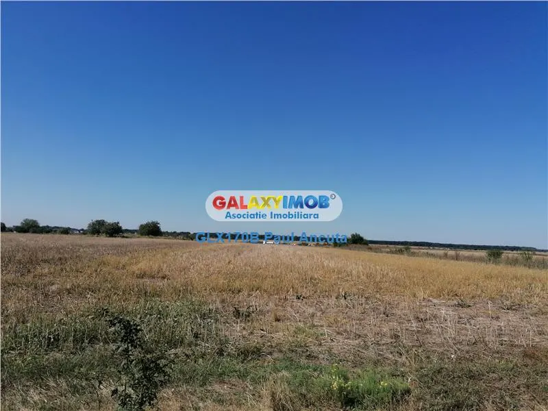 Teren Moara Vlasiei 11200 mp  apropiere case noi acces rapid la Nod A3 - foto 1