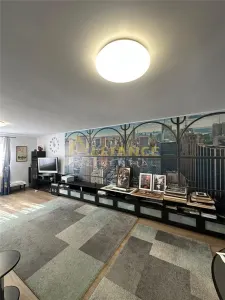 Casa individuala si spatiu comercial - foto 2