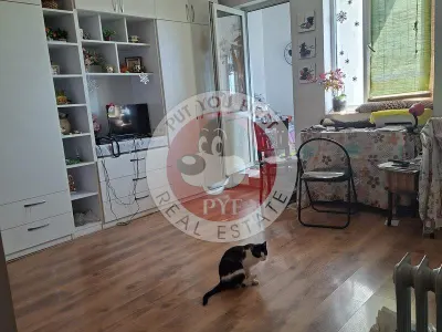 Facultatea artelor | Studio | 44mp | Semidec | RS I | B12089 - Bucuresti