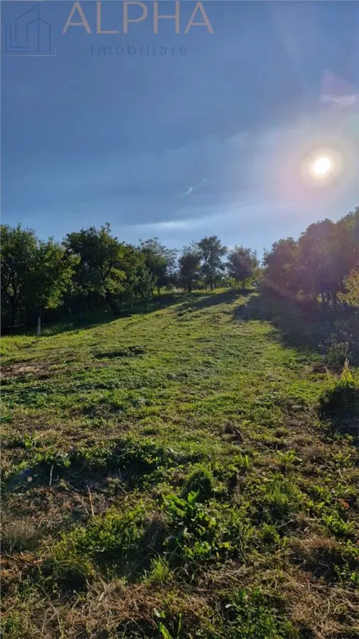 Casa traditionala + teren generos 2400 mp | 11 km de Bistrita  - foto 9