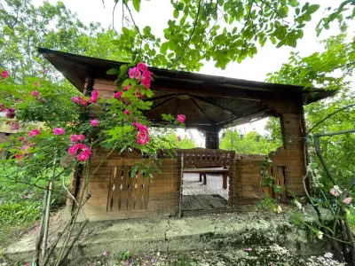 Casa de vacanta | Teren 3155 mp | Breaza - Comarnic | Gura Beliei - foto 8