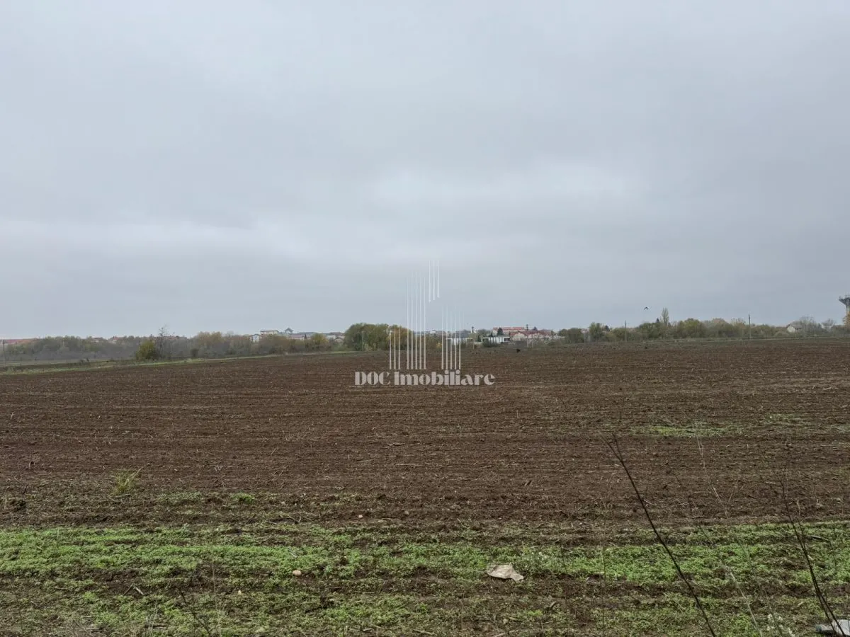 Vanzare teren Intravilan | Bragadiru | 6000mp | Gaze | Canalizare - foto 5