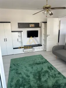 APARTAMENT 2 CAMERE DE INCHIRIAT ULTRACENTRAL IN SPATE LA BIZO - Baia Mare