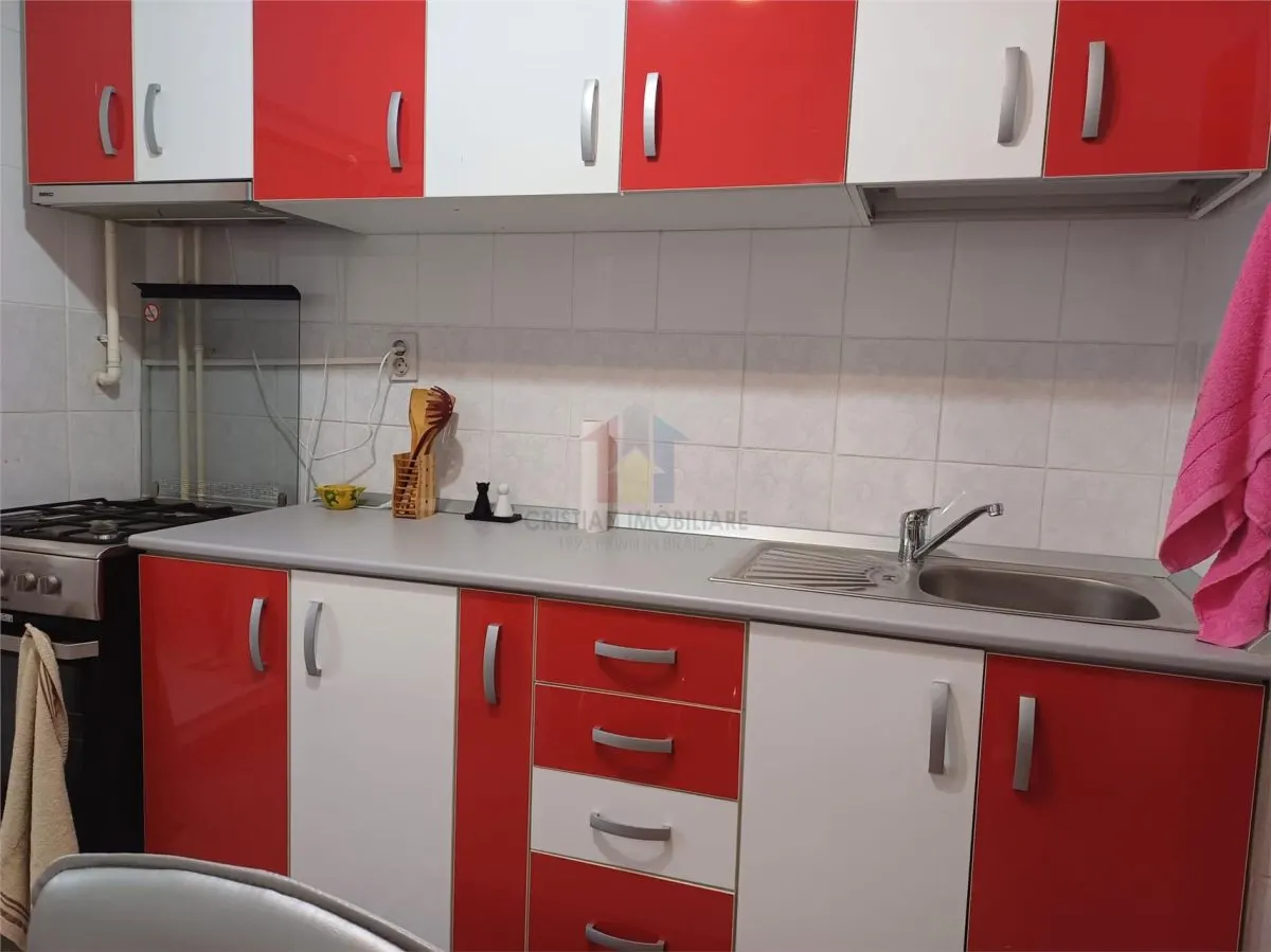 2 camere Confort 1 Decomandat, etaj 3, Renovat, Radu Negru - foto 7