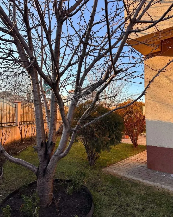 Casa 4 camere de vanzare Ploiesti Albert complet mobilata utilata finisaje premium zona Albert - foto 1