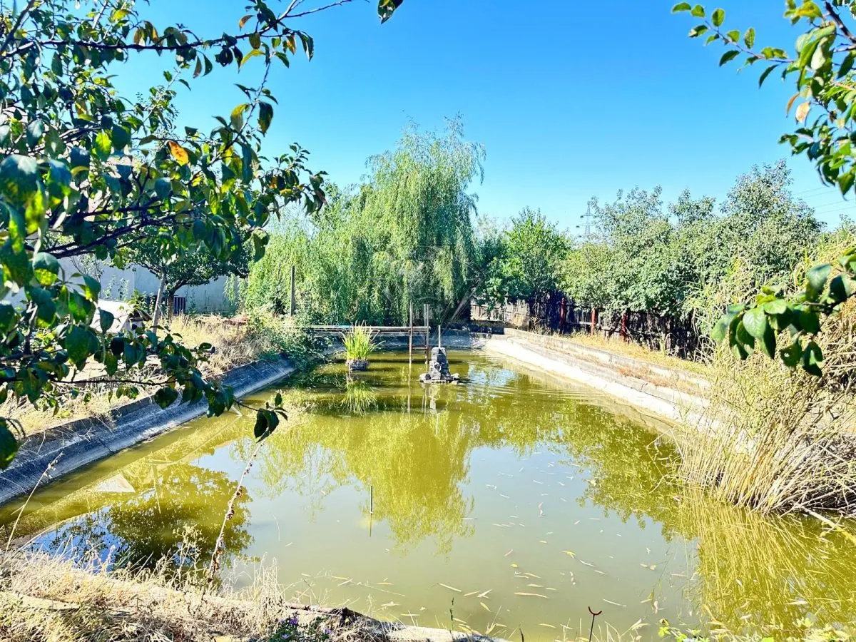 Casa si teren 3567 mp cu piscina, livada si helesteu â€“ Corlatesti - foto 2