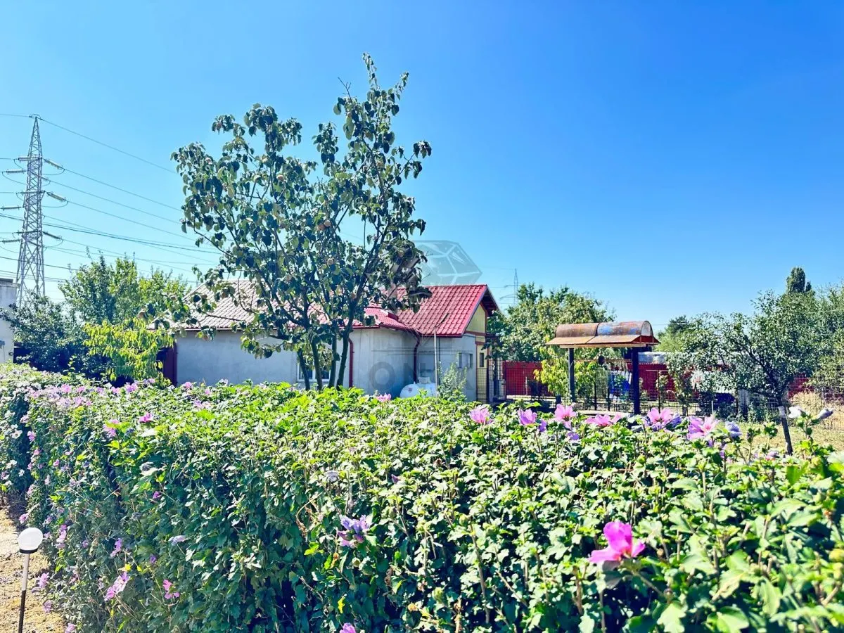 Casa si teren 3567 mp cu piscina, livada si helesteu â€“ Corlatesti - foto 16