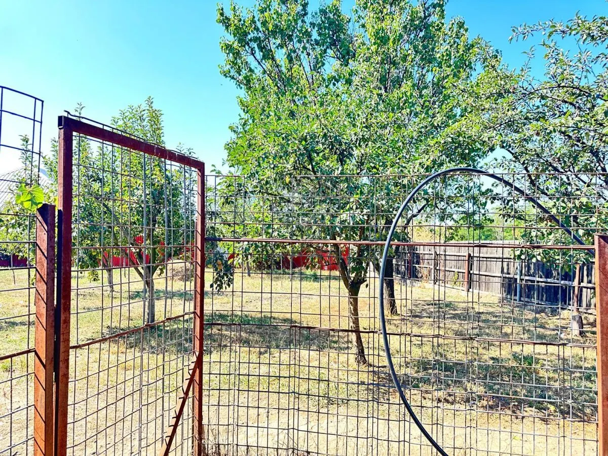 Casa si teren 3567 mp cu piscina, livada si helesteu â€“ Corlatesti - foto 17