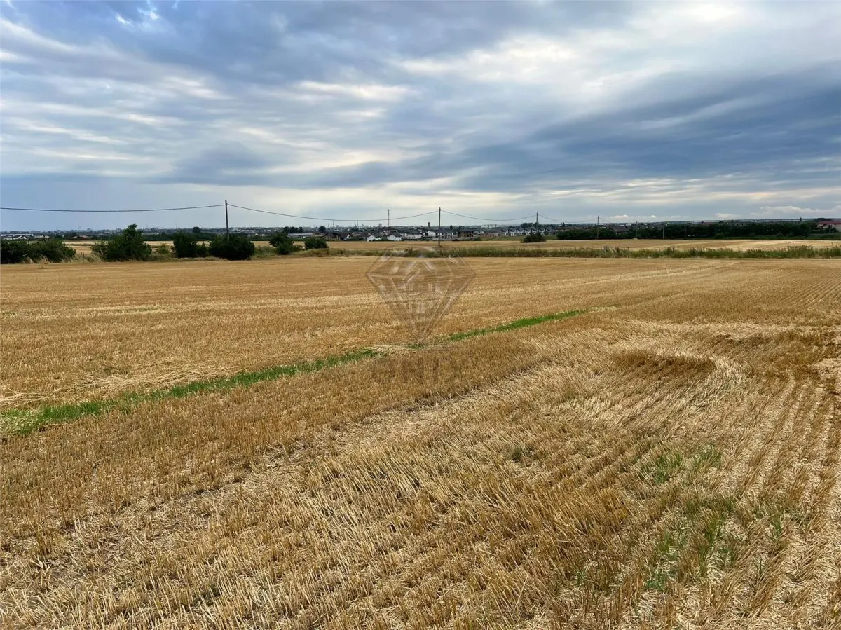 Teren intravilan 7100 mp de vanzare in Paulesti, Cocosesti â€“ ideal pentru locuinte P+2E - foto 3
