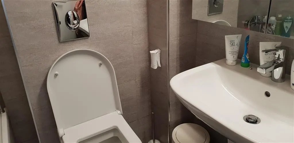 Vanzare  apartament  2 camere Ploiesti, zona Albert - foto 6