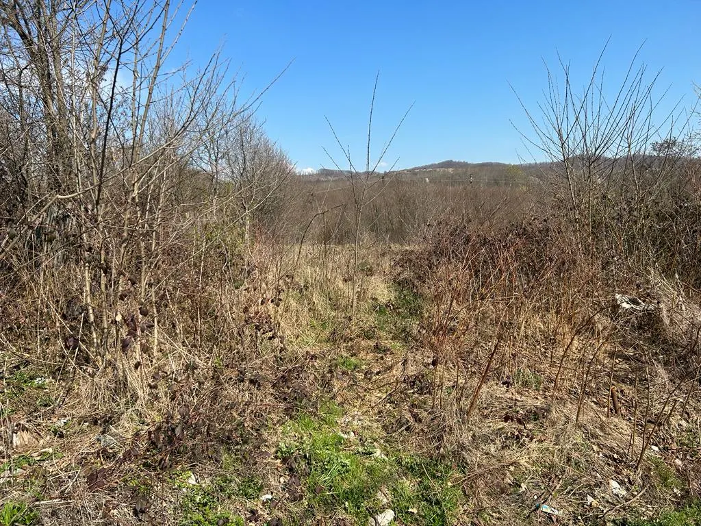 Vanzare teren intravilan, Scorteni, judetul Prahova - foto 4