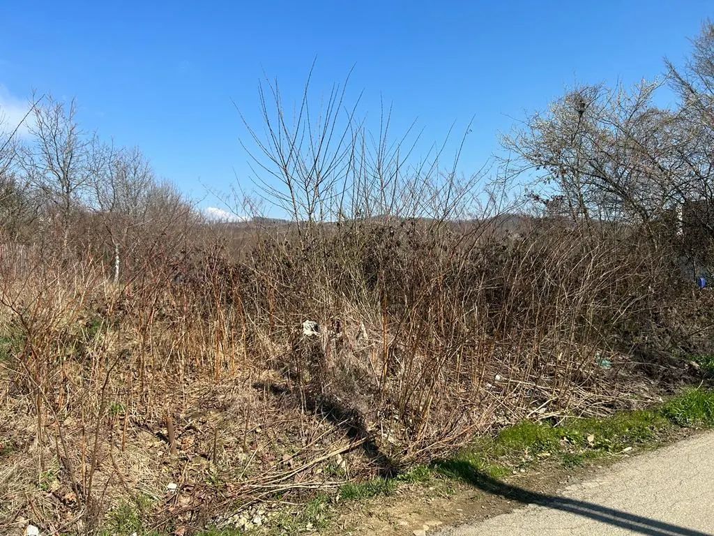Vanzare teren intravilan, Scorteni, judetul Prahova - foto 10