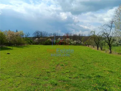 Badeni com Scobinti  Iasi Constructii 245mp Teren 4239mp intravilan dubla deschidere zona centrala - foto 4