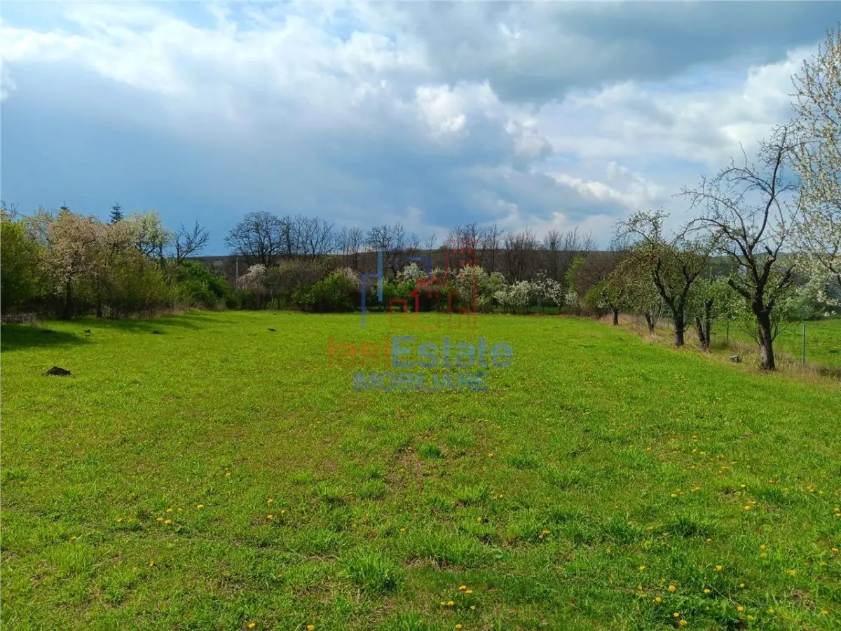 Badeni com Scobinti  Iasi Constructii 245mp Teren 4239mp intravilan dubla deschidere zona centrala - foto 4