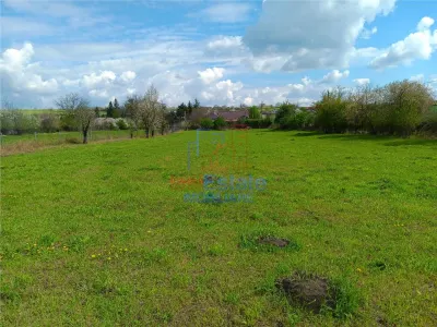 Badeni com Scobinti  Iasi Constructii 245mp Teren 4239mp intravilan dubla deschidere zona centrala - foto 5