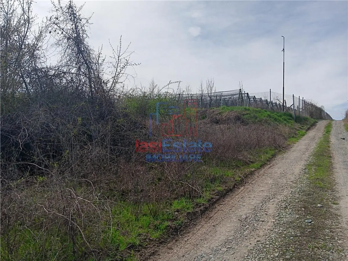 Visan str Castanul Unirii TEREN 729mp cu dubla deschidere toate utilitatile zonei - foto 6