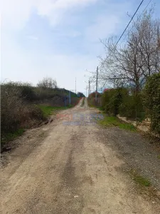 Visan str Castanul Unirii TEREN 729mp cu dubla deschidere toate utilitatile zonei - foto 7