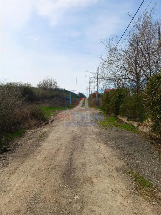 Visan str Castanul Unirii TEREN 729mp cu dubla deschidere toate utilitatile zonei - foto 7