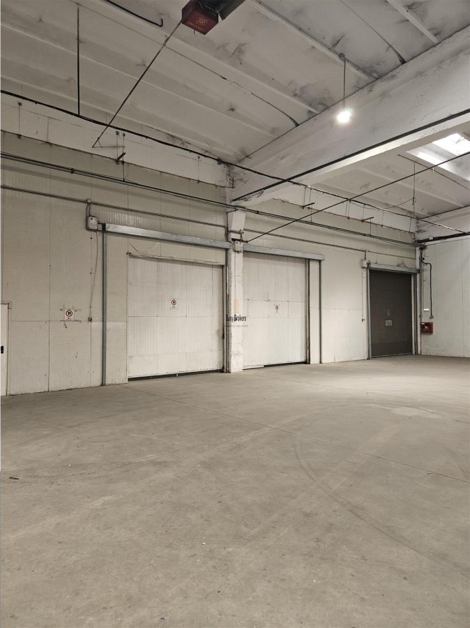 Spatiu Industrial - 2500 mp - Productie - Depozitare - Distributie - foto 12