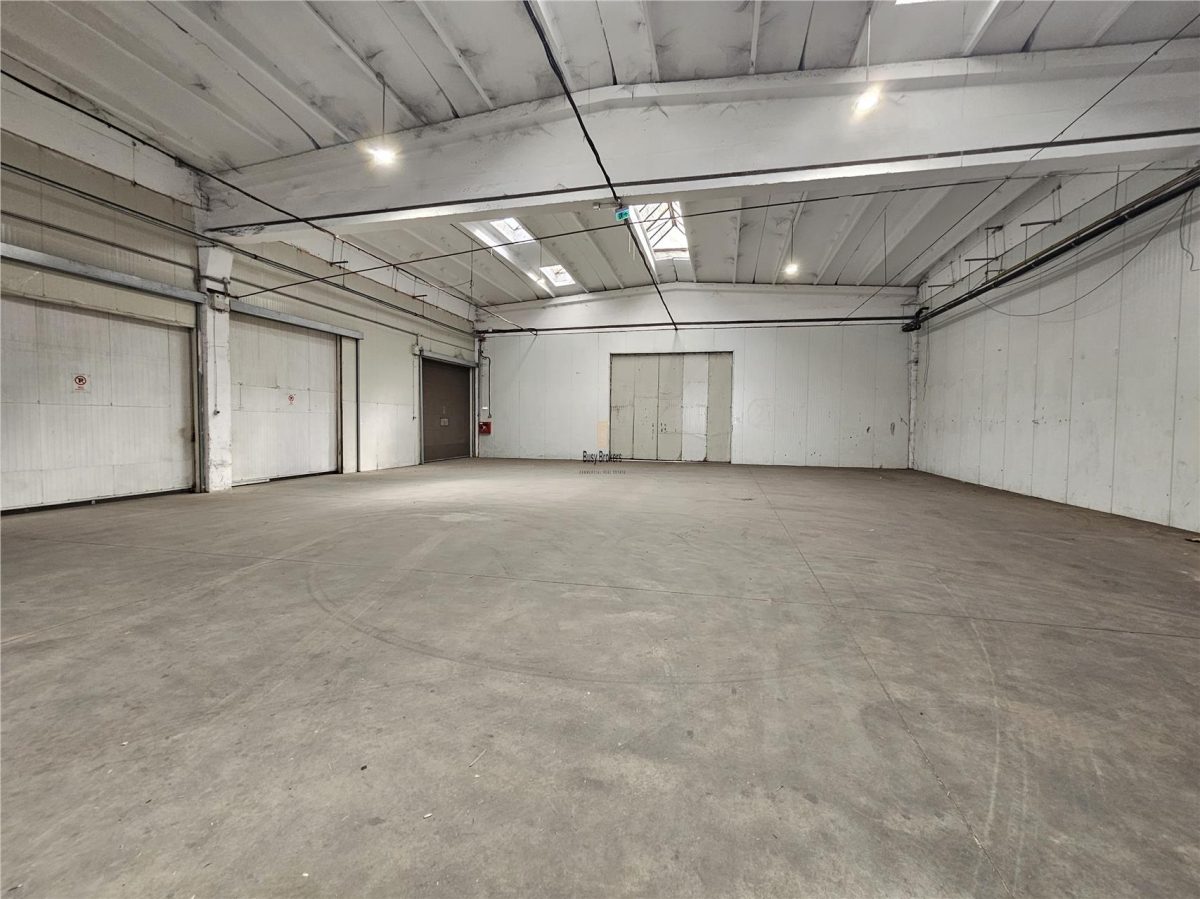 Spatiu Industrial - 2500 mp - Productie - Depozitare - Distributie - foto 14
