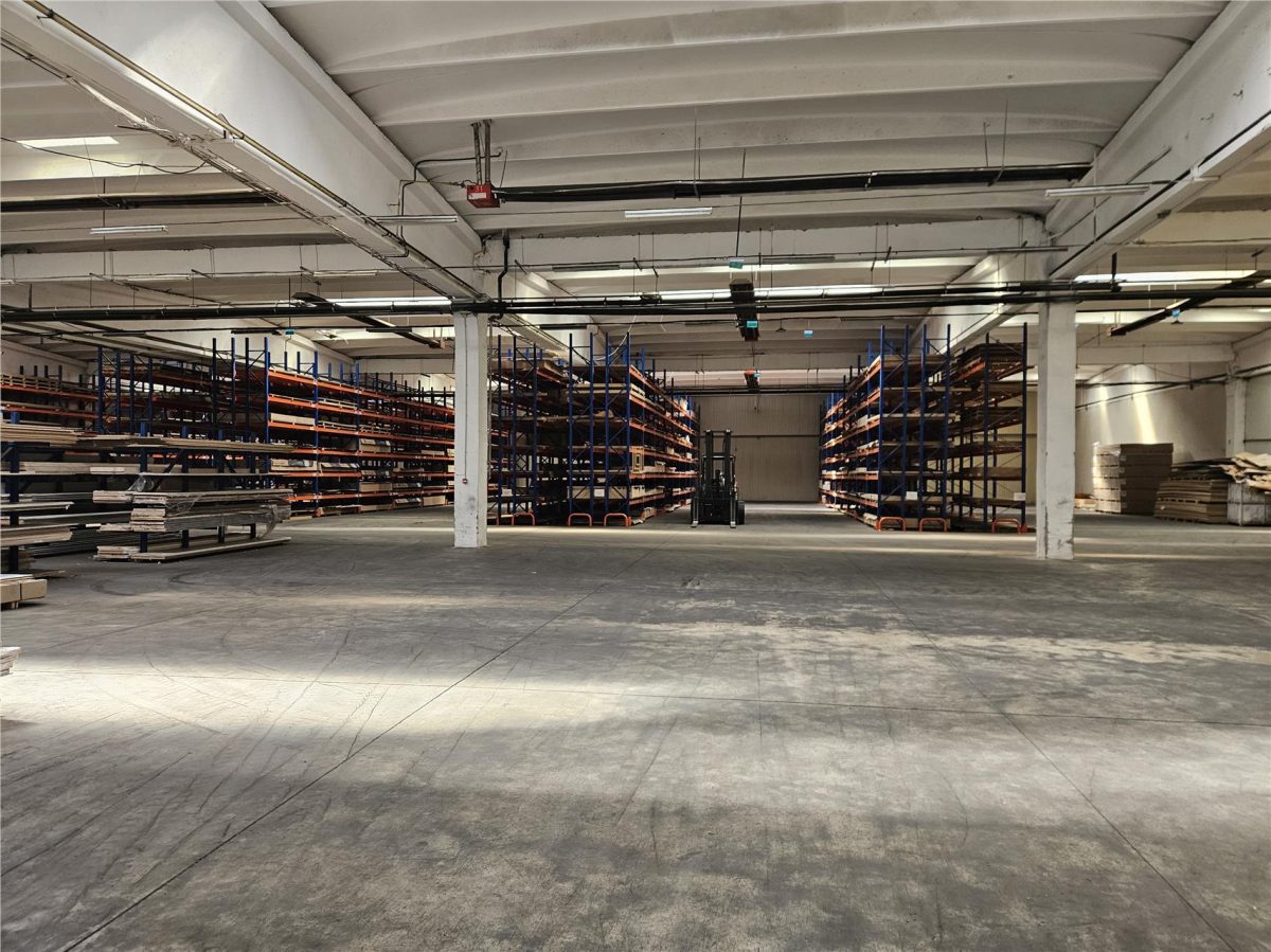 Spatiu Industrial - 4500 mp - Productie - Depozitare - Distributie - foto 11