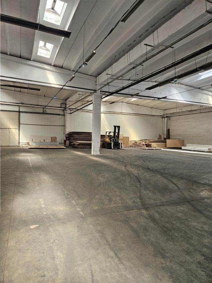 Spatiu Industrial - 4500 mp - Productie - Depozitare - Distributie - foto 14