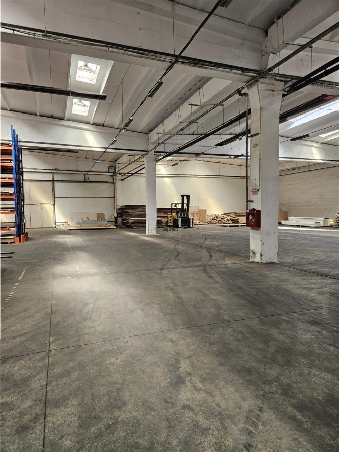 Spatiu Industrial - 4500 mp - Productie - Depozitare - Distributie - foto 15