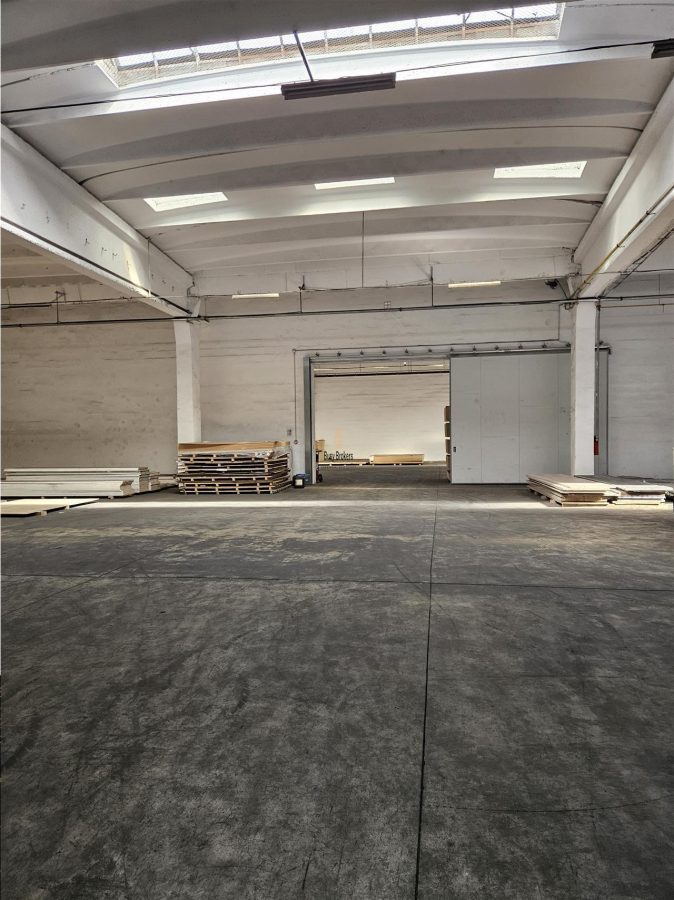Spatiu Industrial - 4500 mp - Productie - Depozitare - Distributie - foto 18