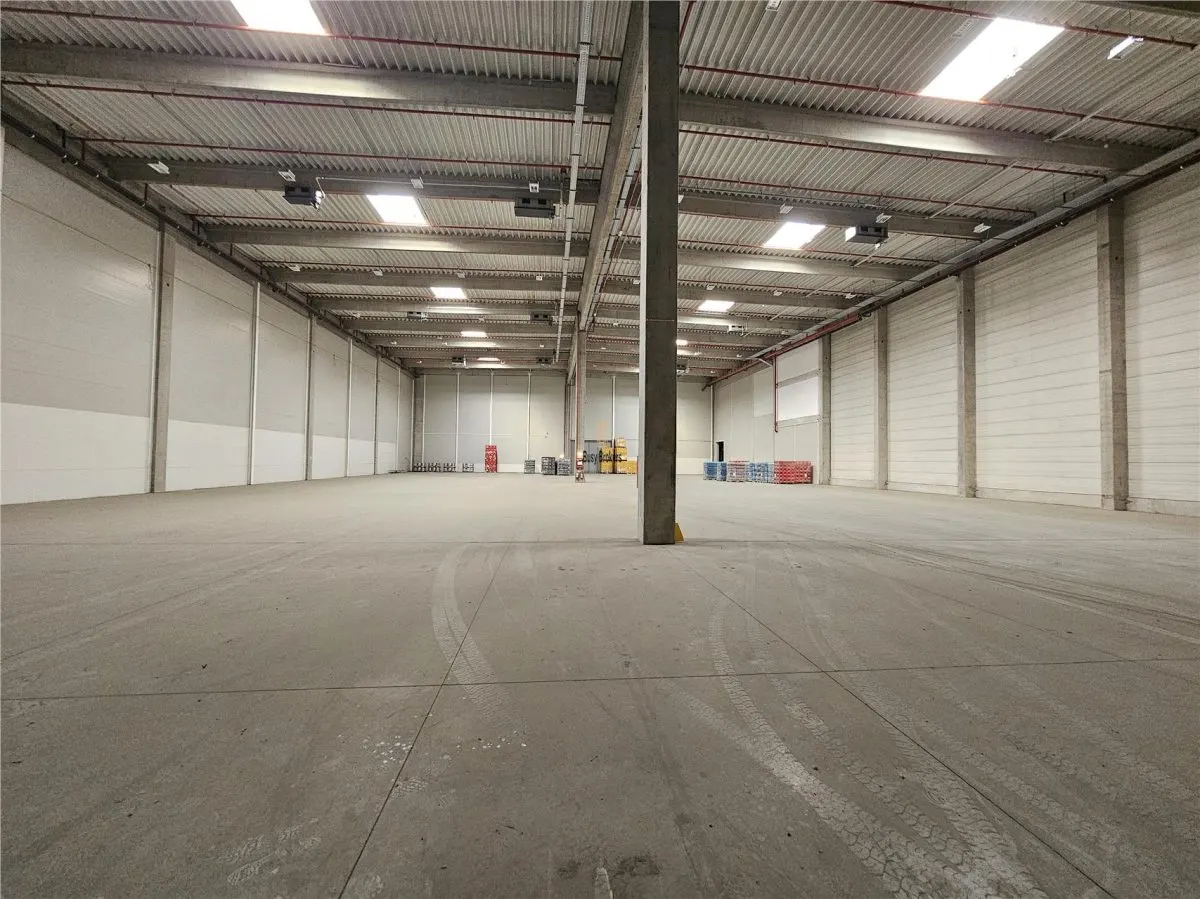 Spatiu Industrial - 4200 mp - Logistica - Productie - Depozitare - Distributie - foto 6