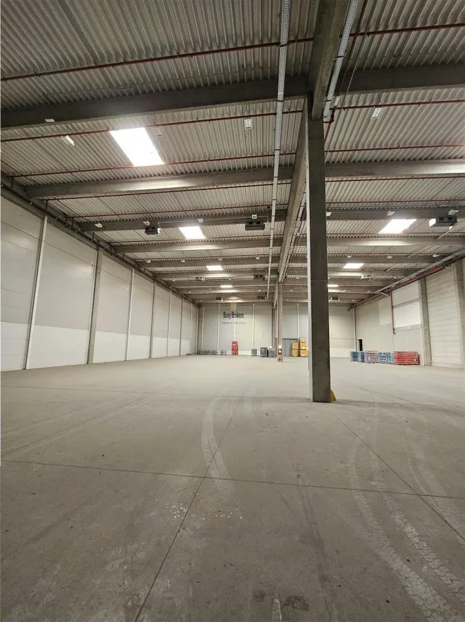 Spatiu Industrial - 3300 mp - Logistica - Productie - Depozitare - Distributie - foto 12