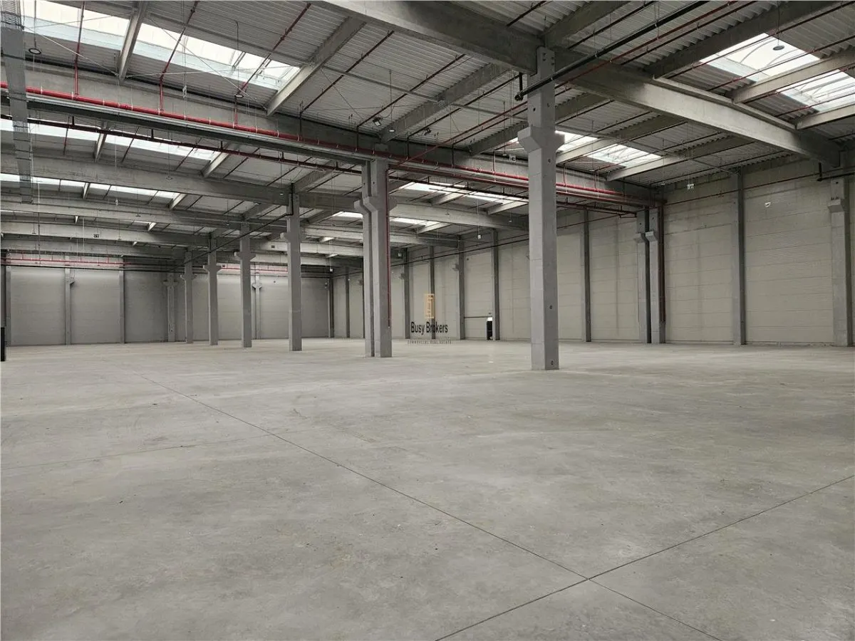 Spatiu Industrial - 5500 mp - Logistica - Depozitare - Distributie - foto 5