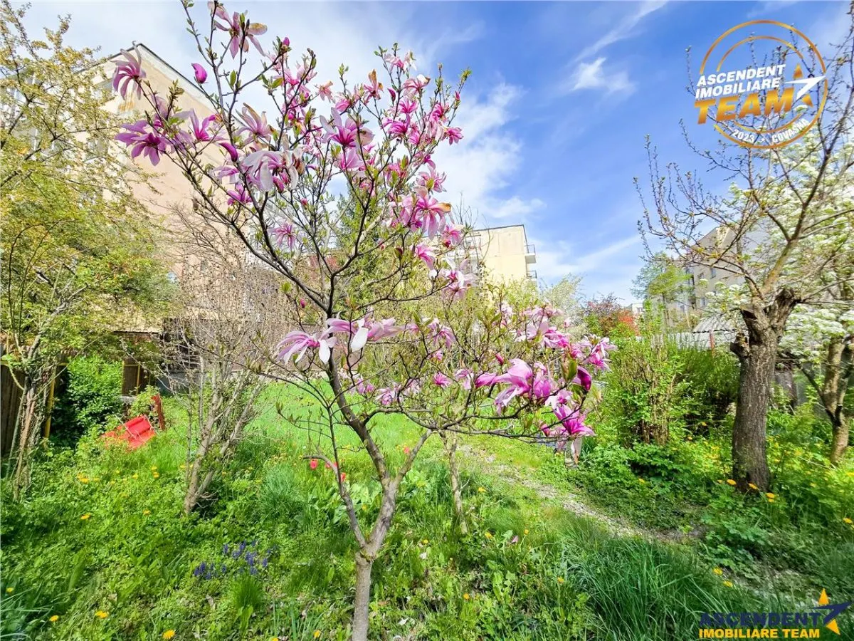 Casa pe strada Lazar Mihaly, Sfantu Gheorghe, cu 645 mp teren - foto 12