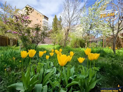 Casa pe strada Lazar Mihaly, Sfantu Gheorghe, cu 645 mp teren - foto 14